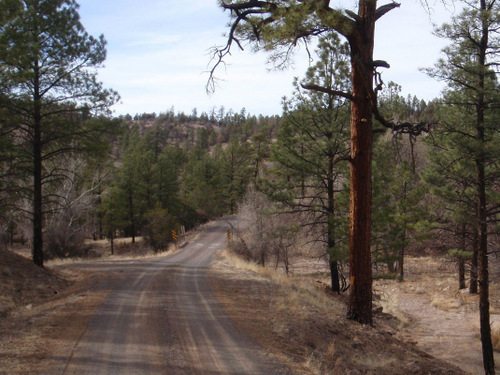 Dry creek and unofficial camp area.